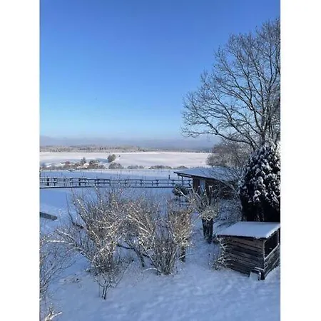 Family Junk Walsdorf (Rhineland-Palatinate)