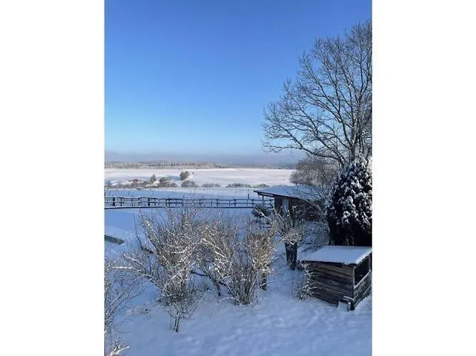 Family Junk Walsdorf (Rhineland-Palatinate)