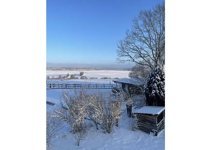 Family Junk Apartament *